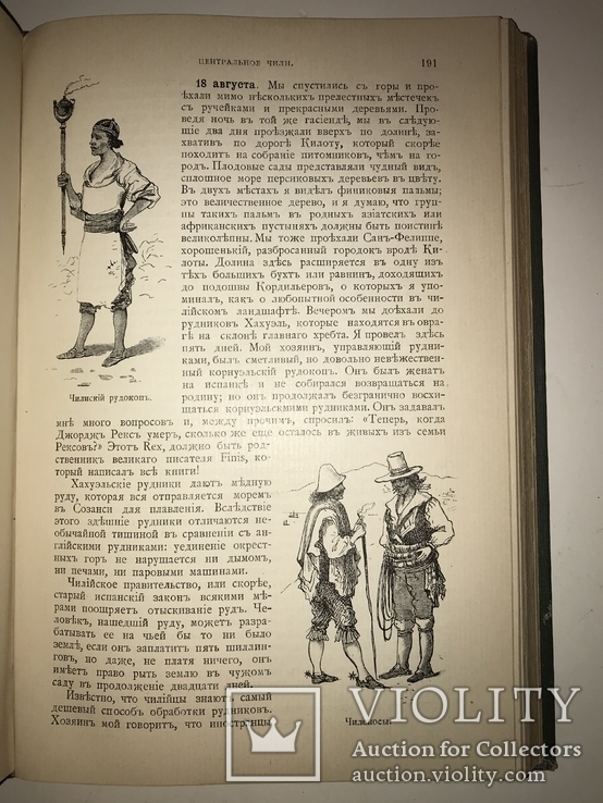 1909 Дарвин Купеческое Издание с золотым тиснением, фото №5