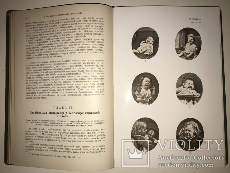 1909 Дарвин Купеческое Издание с золотым тиснением, фото №8