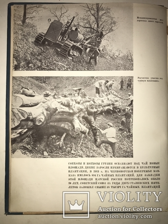 1940 Советская Парадная Книга Субтропики, фото №10