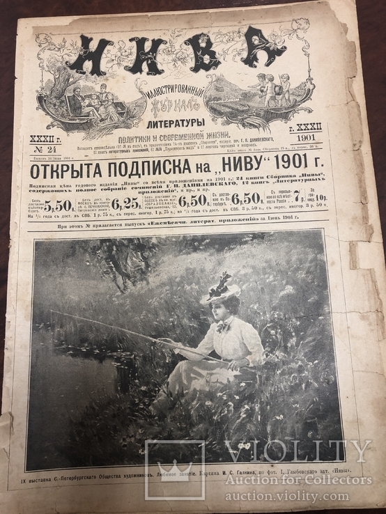 Хроники жизни царской России. Нива 24.1901 год.