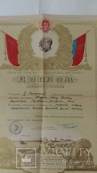 Дипломы,свидетельства, биография,док на знак на одного человека., фото №6