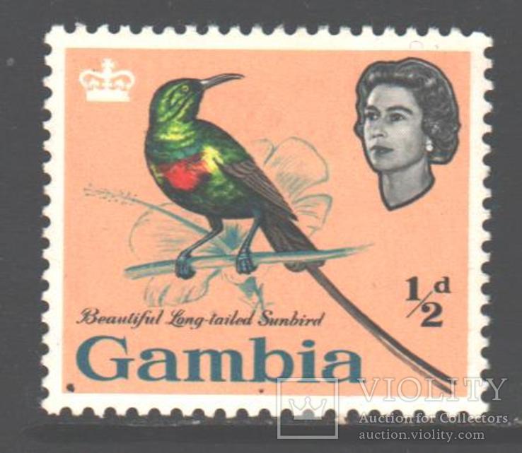 Брит. колонии. Гамбия. 1963. Птицы, 1/2 п. *.