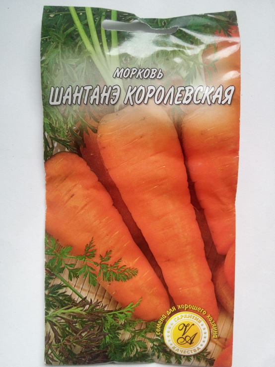 Зерна Морковь Шантане Королевская