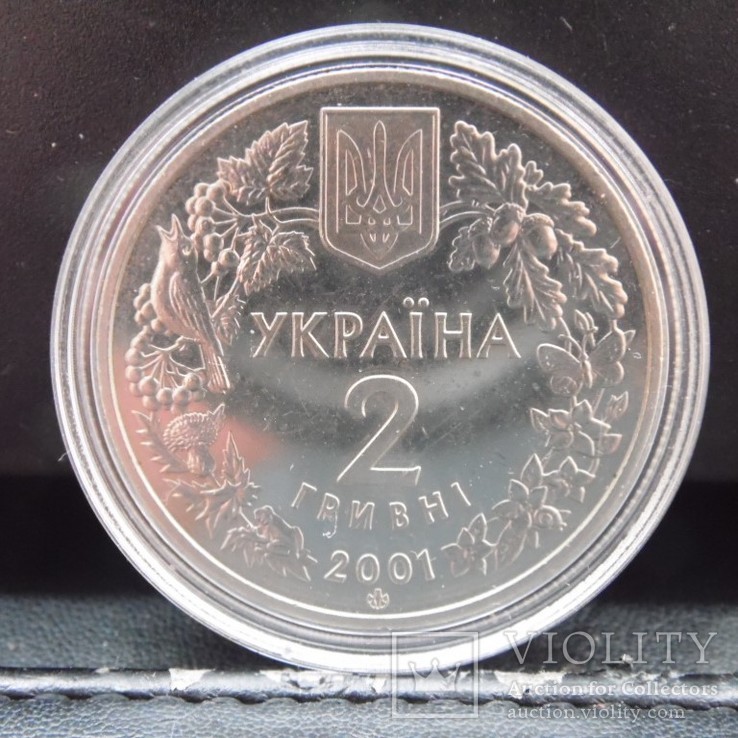 Лиственница польская 2 грн. 2001 год Модрина Польська, фото №3