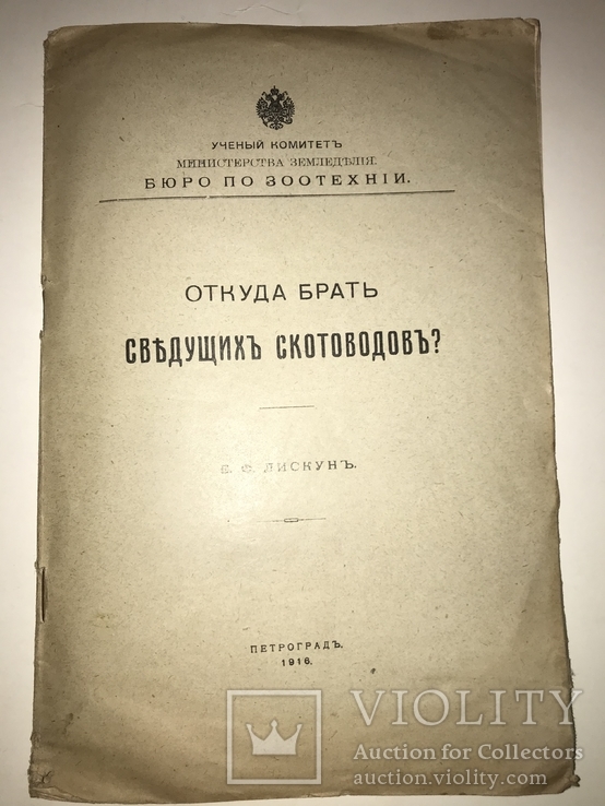 1916 Откуда брать сведущих скотоводов Сельское Хозяйство, фото №9