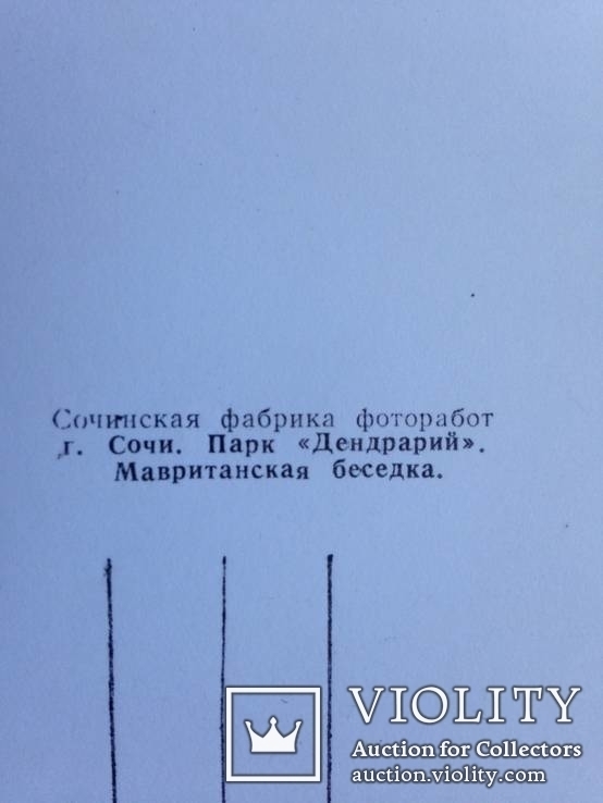 Открытка. Сочи. Мавританская беседка. 1967г., фото №6