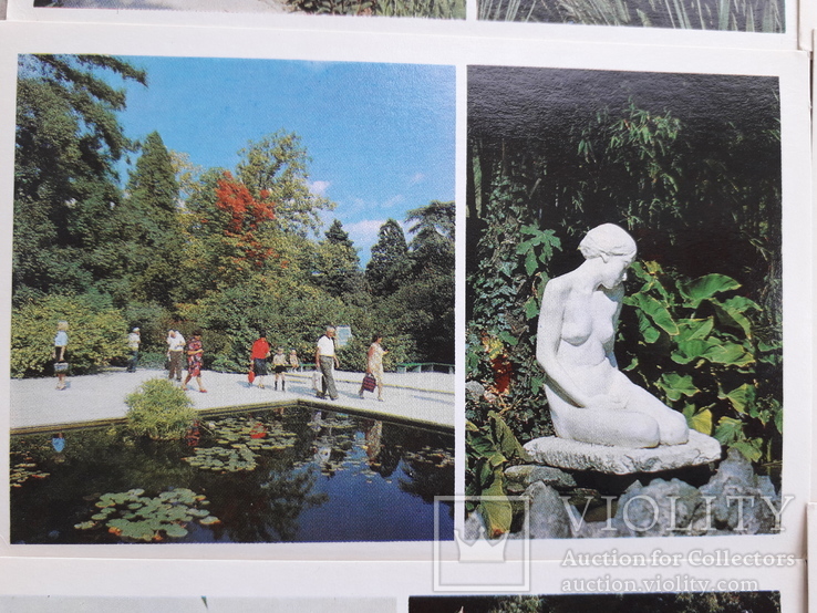 Нікітський ботанічний сад. 10 листівок., фото №4