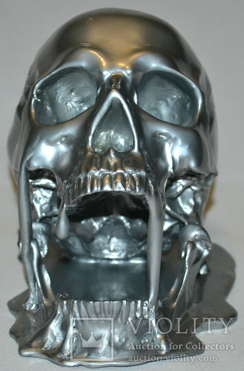 Тающий алюминиевый череп., фото №5