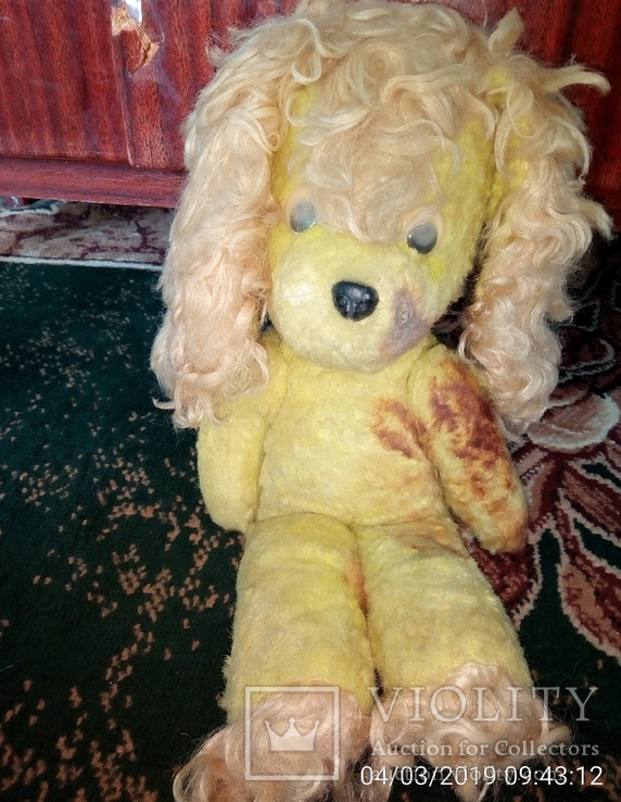 Собака жёлтая лахматая, фото №2