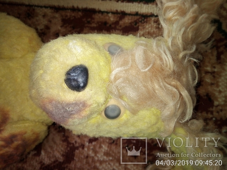 Собака жёлтая лахматая, фото №7