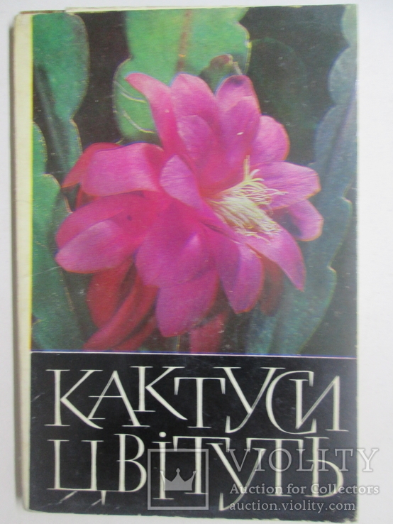 Набор открыток  Кактусы цветут , мистецтво