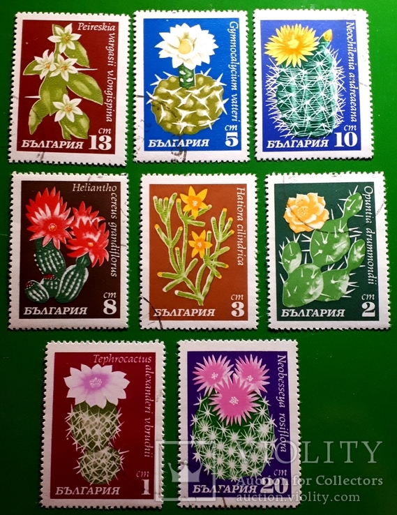 1970 г. Болгария Кактусы Цветы Флора