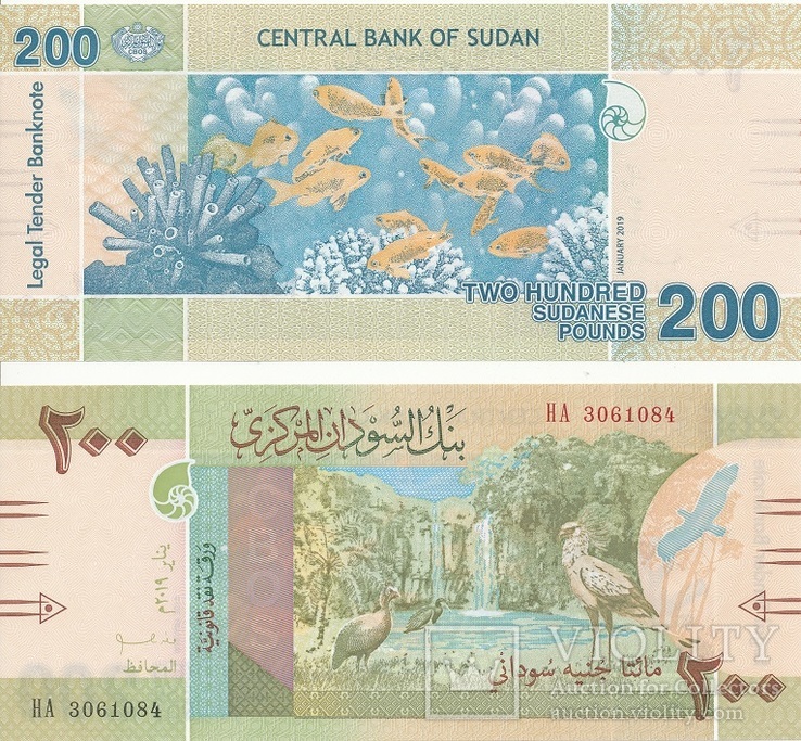 Sudan North Северный Судан - 200 Pounds 2019. 