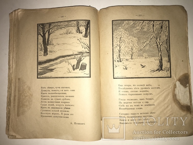 1919 Стихотворения предисловие Бродского, фото №5