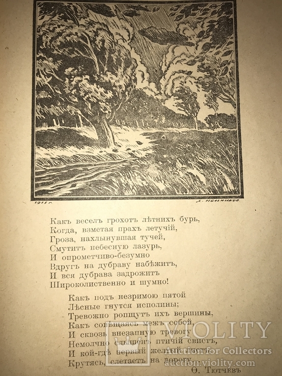 1919 Стихотворения предисловие Бродского, фото №2