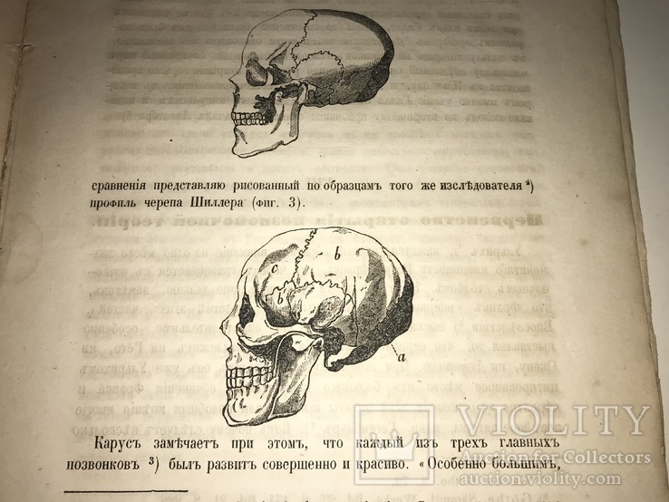 1862 Гёте Естествоиспытатель Государственных Имуществ, фото №3