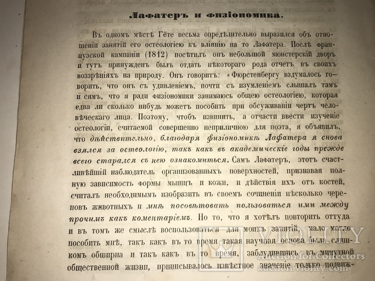 1862 Гёте Естествоиспытатель Государственных Имуществ, фото №6