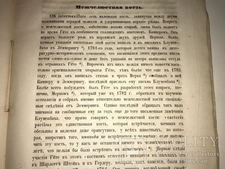 1862 Гёте Естествоиспытатель Государственных Имуществ, фото №9