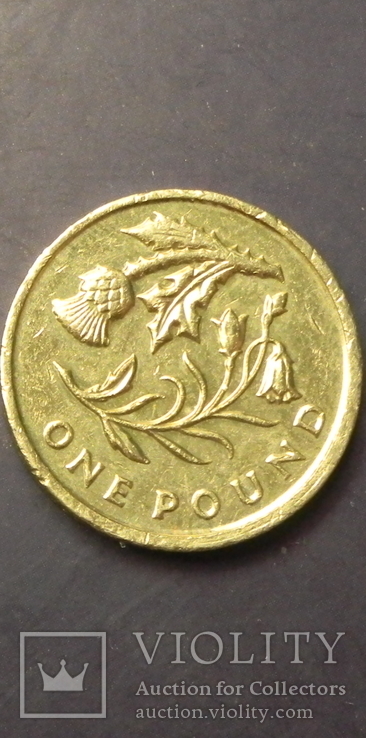 1 фунт Британія 2014 Флора Шотландії, фото №2