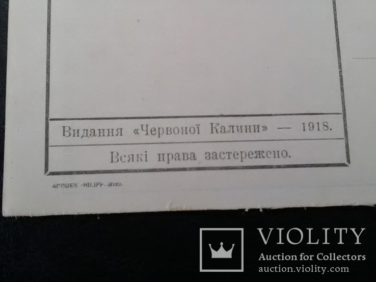 Українські січові стрільці - 1918 год, фото №5