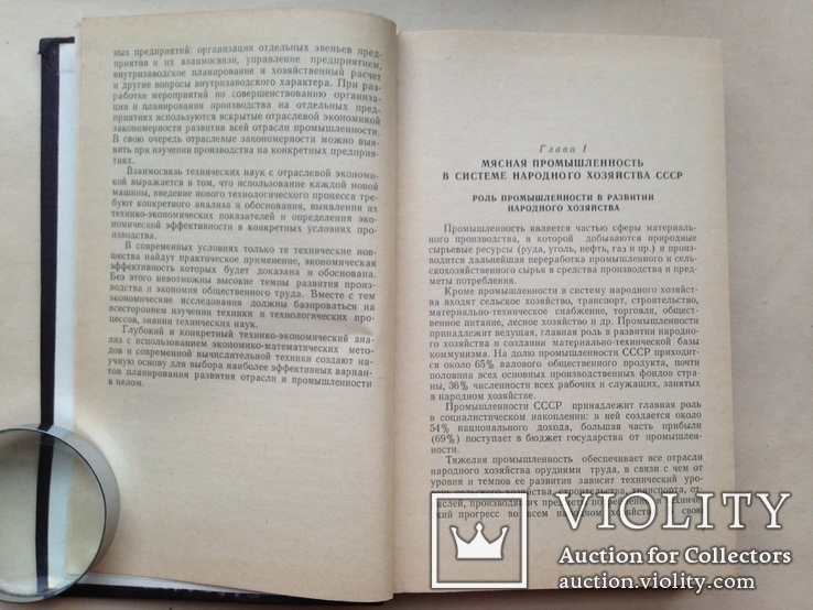 Экономика мясной промышленности. 1973. 480 с. 12 тыс. экз., фото №6