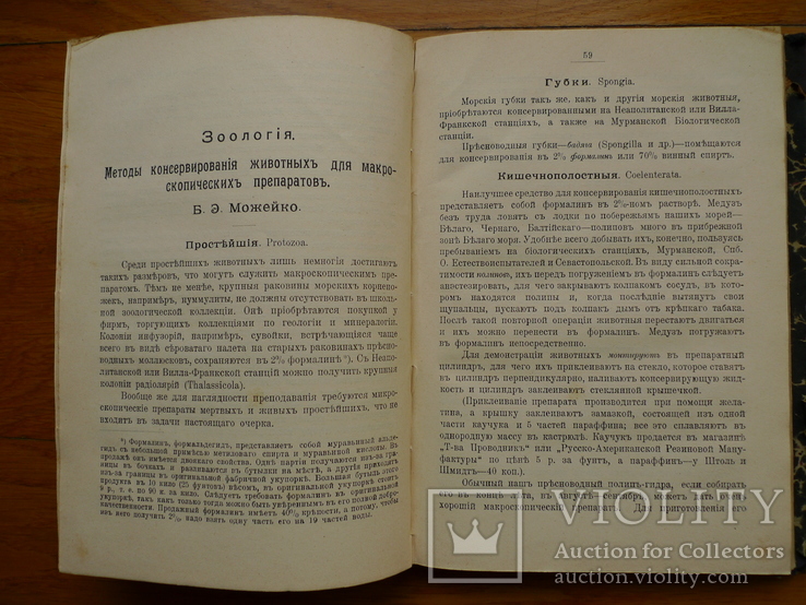 Руководство к устройству школьного естественно-исторического музея ". 1911 год., фото №6