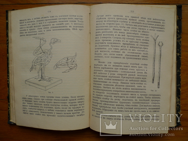 Руководство к устройству школьного естественно-исторического музея ". 1911 год., фото №7