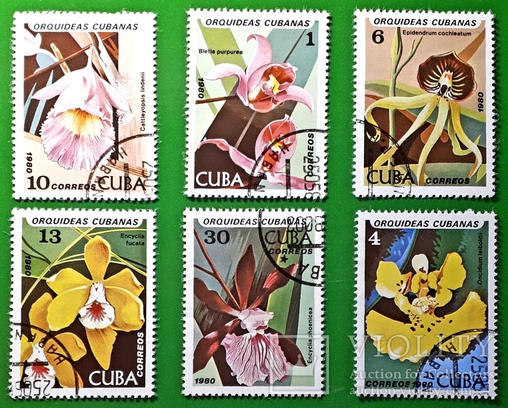 1980 Куба Цветы