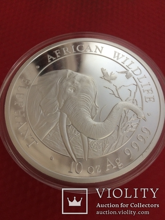 Монета сереброСлоны Сомали 1000 шиллингов 10 унций 999,9 серебро, фото №2