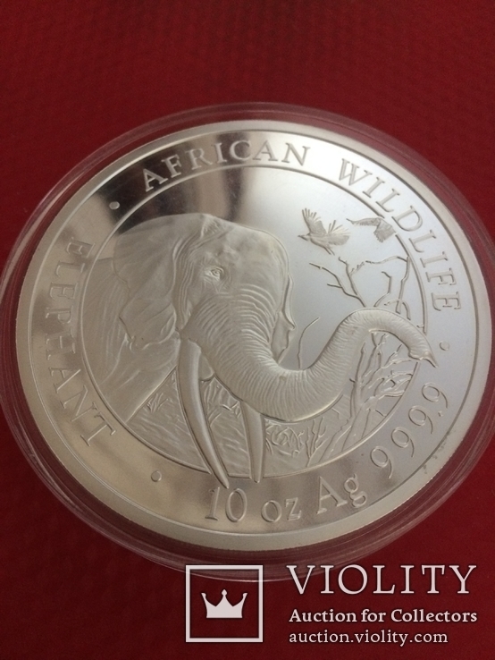 Монета сереброСлоны Сомали 1000 шиллингов 10 унций 999,9 серебро, фото №4