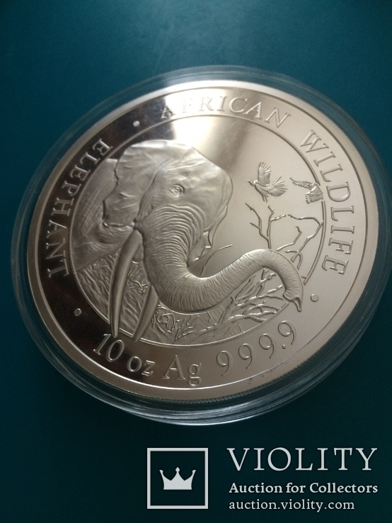 Монета сереброСлоны Сомали 1000 шиллингов 10 унций 999,9 серебро, фото №7