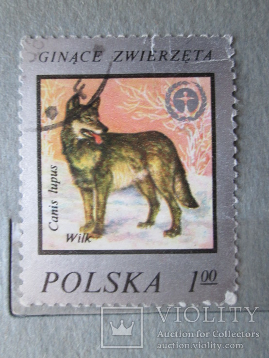 Польша фауна гаш