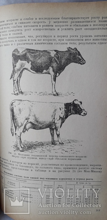 И.С.Попов "Кормление сельскохозяйственных животных" (1957 год), фото №11