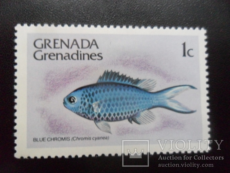Фауна моря. Гренада, Гренадины. Рыба.  МН, фото №2