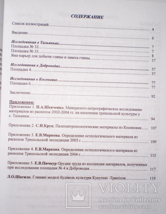 Исследование поселений - гигантов трипольской культуры 2002-2004 гг 2005 г, фото №3