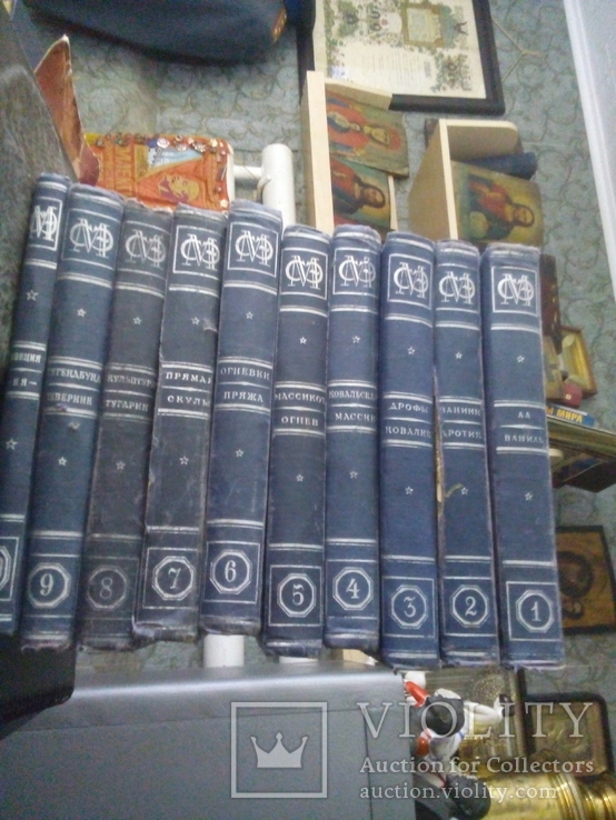 Малая советская энциклопедия (МСЭ) 10 томов с 1928 по 1931 год, фото №2