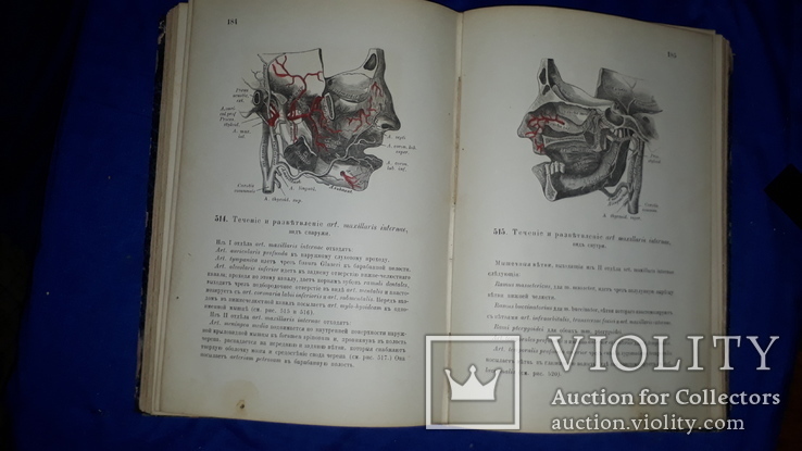 1882 Атлас анатомии человека