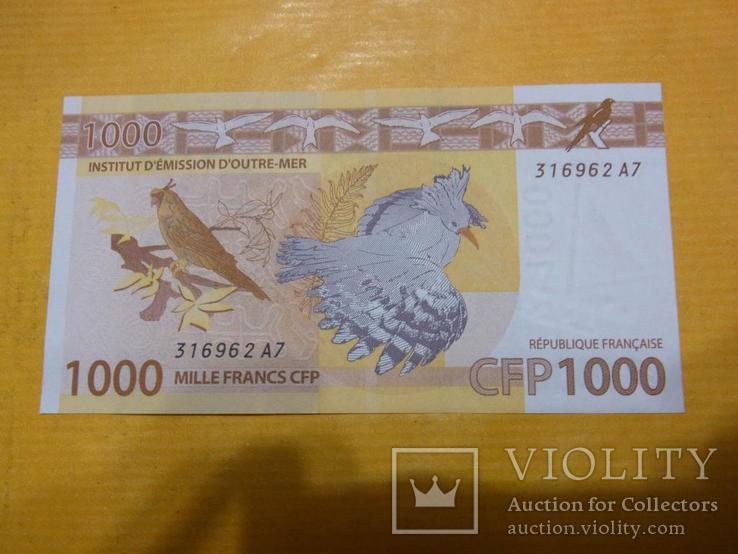 Французская Полинезия 1000 франков 2014 фауна птицы черепаха рыба, фото №3