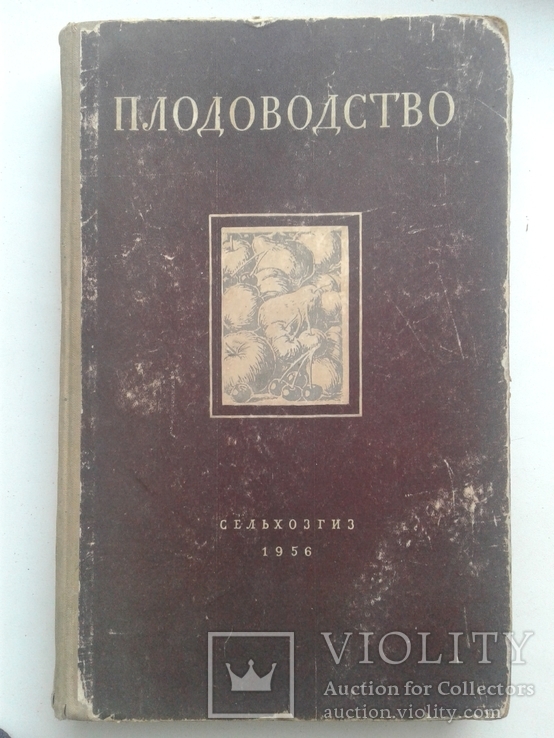 Плодоводство (Сельхозгиз. 1956)