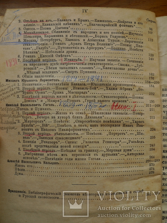 "История русской словестности". Москва. 1907 год., фото №5