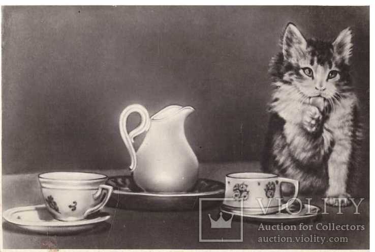 Открытка.Кот с чашками.1956 г., фото №2
