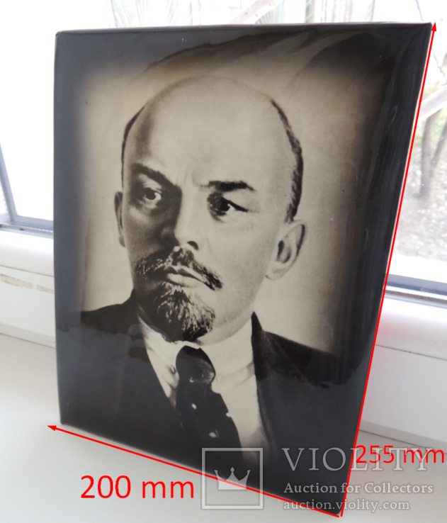 Ленин фото портрет большой 25 на 20 см СССР 1949 года, фото №5