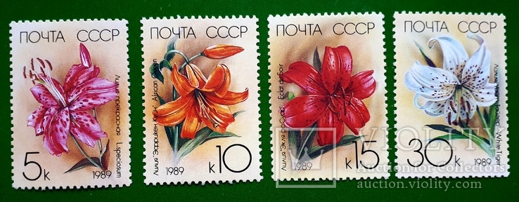 1989 СССР Цветы Флора