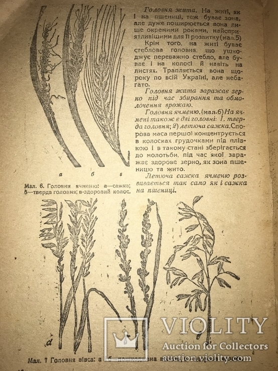 1933 Підготовка Насіння до посіву Українська книга, фото №2