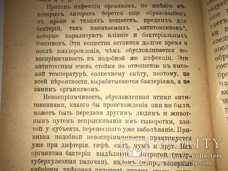 1900 Невидимые враги и друзья, фото №3