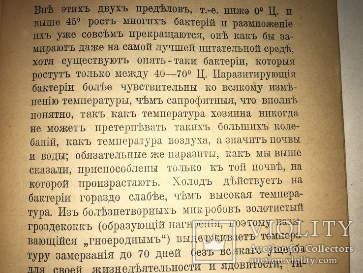 1900 Невидимые враги и друзья, фото №6