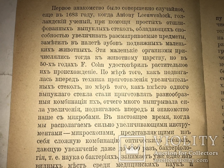 1900 Невидимые враги и друзья, фото №9