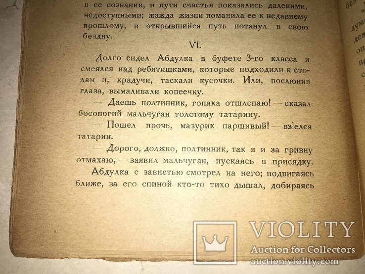 1924 А.Шульгин Абдулка Новая Москва, фото №4