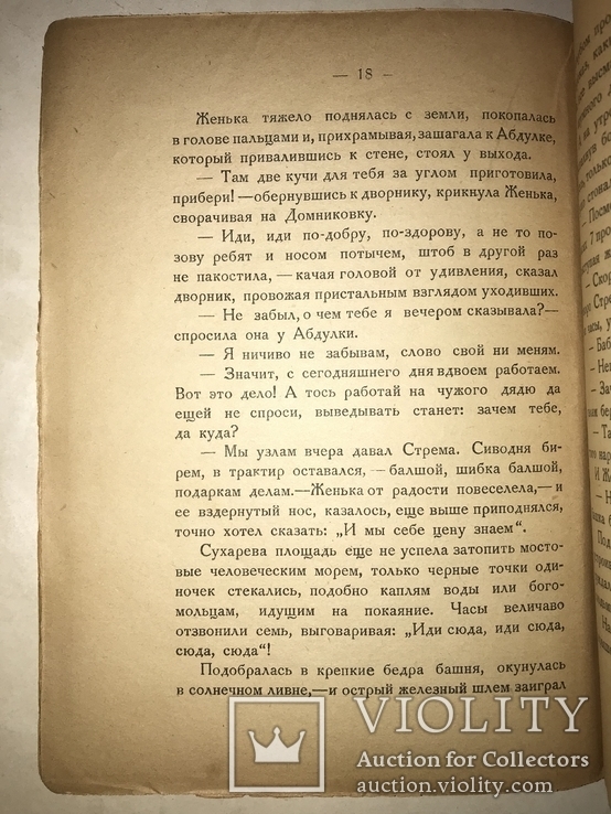 1924 А.Шульгин Абдулка Новая Москва, фото №7