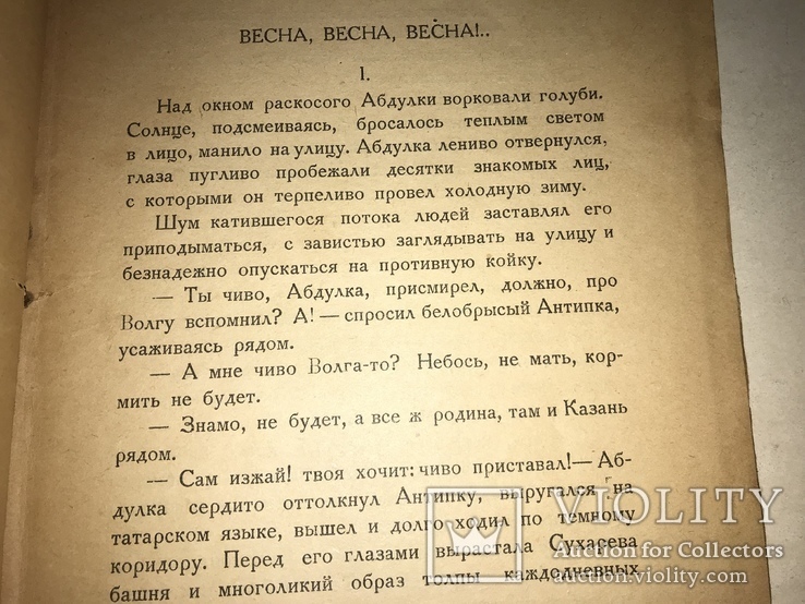 1924 А.Шульгин Абдулка Новая Москва, фото №10